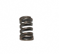 Valve Spring 23.86x36.3mm  SUZUKI F6A