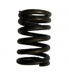 Valve Spring   SUZUKI K6A 12921-78G00